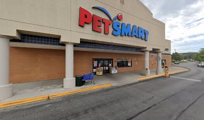 PetSmart Dog Training