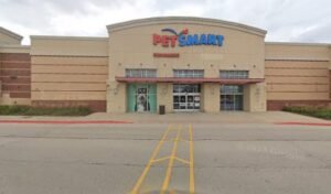 PetSmart Dog Training