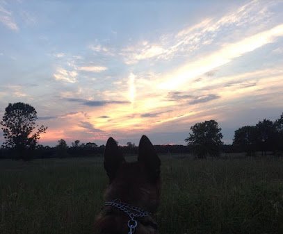 Canine Initiative Training