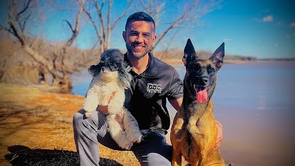 5 Star Dog Training