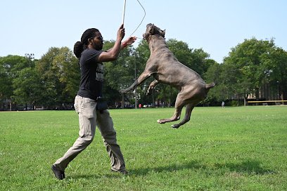 Leash Drop Canine LLC