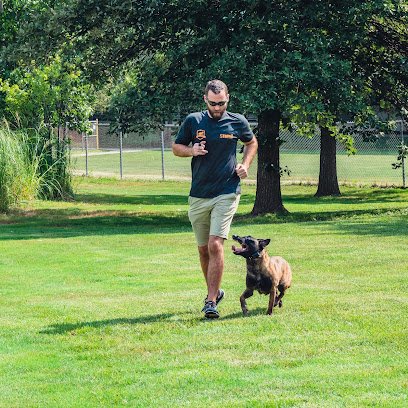 Stayyy.com – Dog Training
