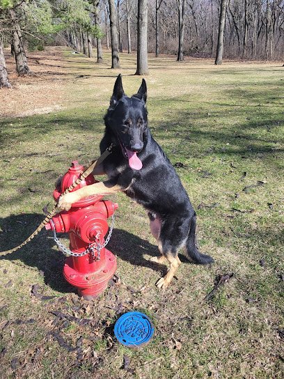 Smart K9