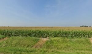 Paws On The Prairie