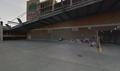 PetSmart Dog Training