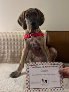 The Positive Pup