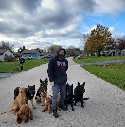 Simply Lead Dog Training and Leashes