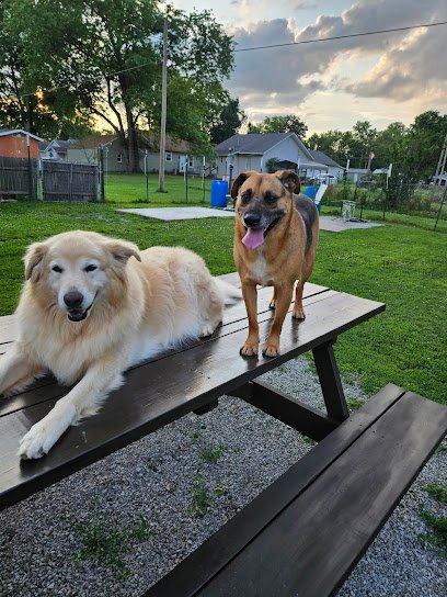 Rising Sun Canine Training