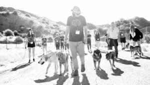 BA K9 Training
