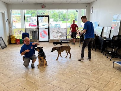 Dog Training & Grooming Downers Grove