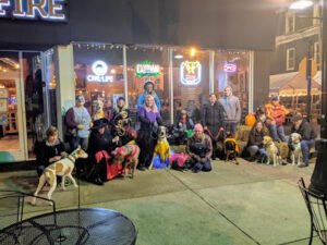 Helping Hounds Dog Training
