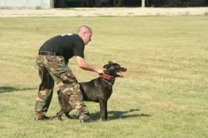 IMPACT K9 USA LLC
