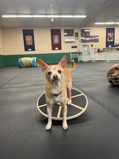 Forest City Dog Training Club