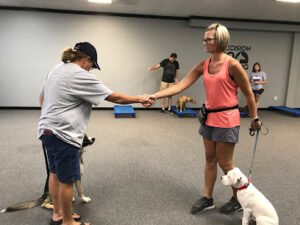 Precision K9 Training, Inc.