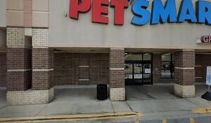 PetSmart Dog Training