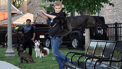 Chicago Canine Academy
