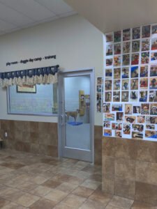 PetSmart Dog Training