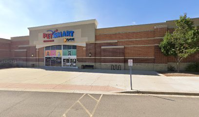 PetSmart Dog Training