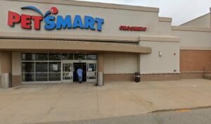 PetSmart Dog Training