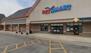 PetSmart Dog Training