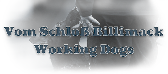vom Schloss Billimack Working Dogs