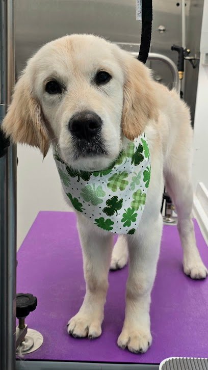 Woodland Dog Spa