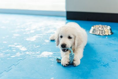 Pup Club