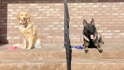Classic Canine Conduct