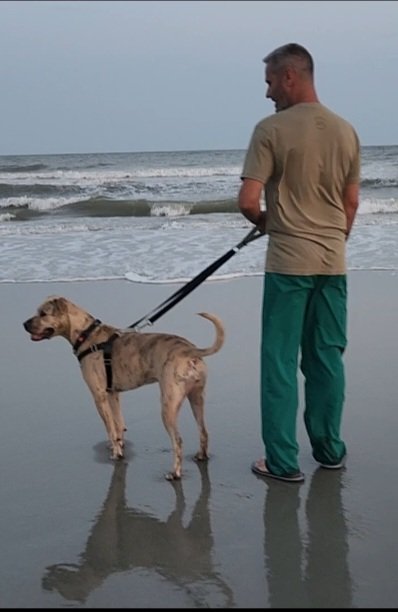 T&D Forever Home Training at The Dog Lounge