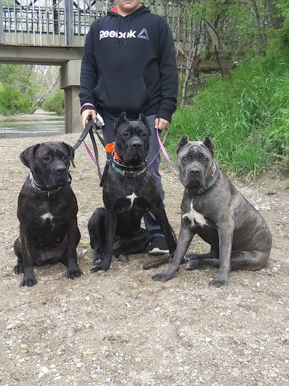 Hideaway Kennels Westbrook Canine Trng