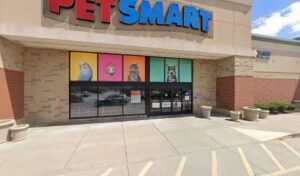 PetSmart Dog Training