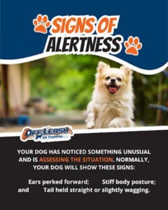 Off-Leash K9 Training Indianapolis