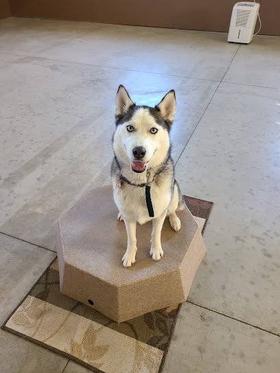 Kasten’s Dog Training Inc