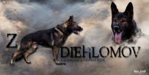 Diehl’s Police K9 Training Center, LLC