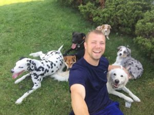 Lee’s Dog Training