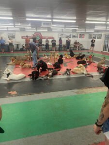 First Friend K-9 Training