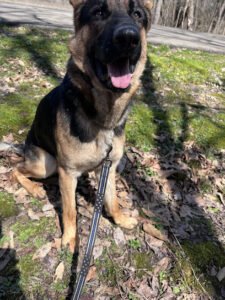 Vonbernd K9 Training Ctr LLC