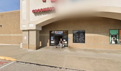 PetSmart Dog Training