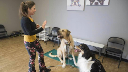 Finishing School for Dogs LLC