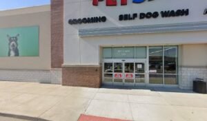 PetSmart Dog Training