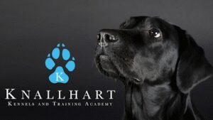 Knallhart Kennels & Training Academy