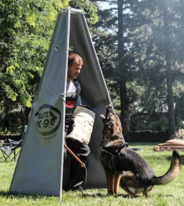 Paw Laws Training, Breeding, and Boarding LLC/ Gunnolf Kennels