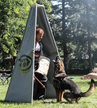 Paw Laws Training, Breeding, and Boarding LLC/ Gunnolf Kennels