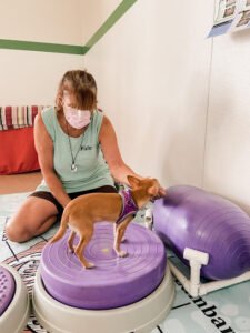 FidoFit Dubuque