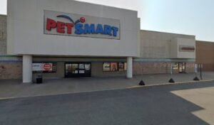 PetSmart Dog Training