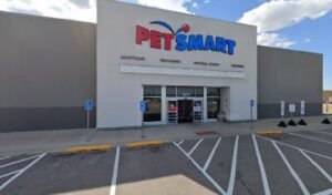 PetSmart Dog Training