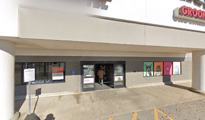 PetSmart Dog Training