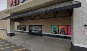 PetSmart Dog Training