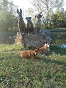 Woofter’s Top Dog LLC