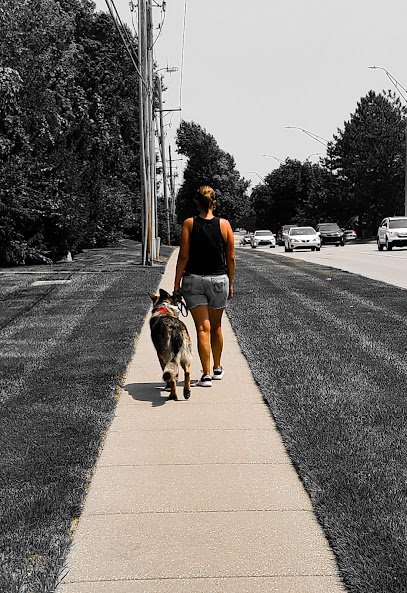 Who’s Walking Who KC Dog Training